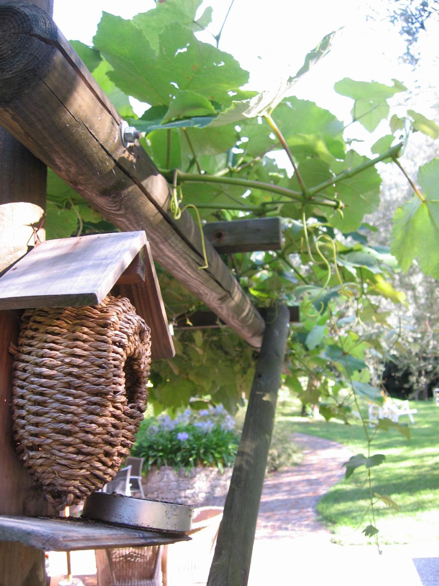 Hotel Catullo Malcesine