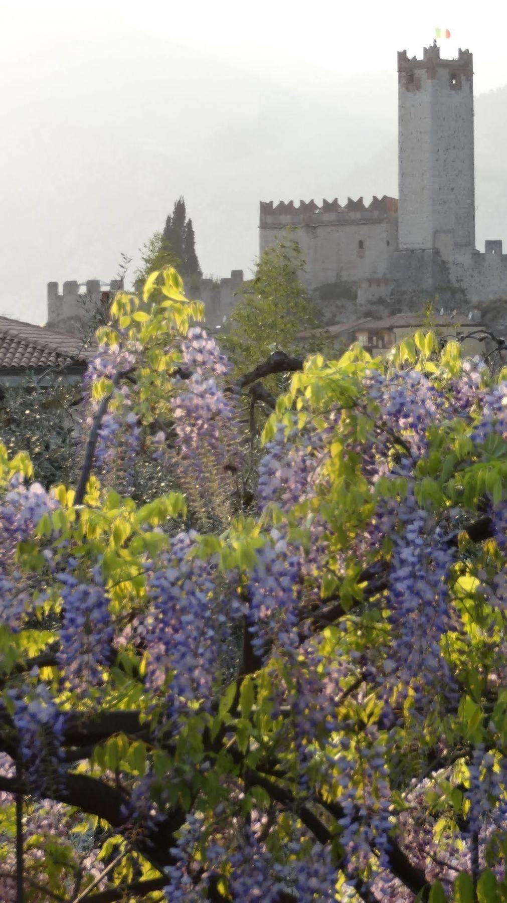 Hotel Catullo 3*